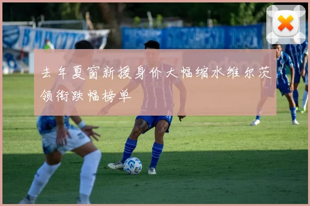 去年夏窗新援身价大幅缩水维尔茨领衔跌幅榜单