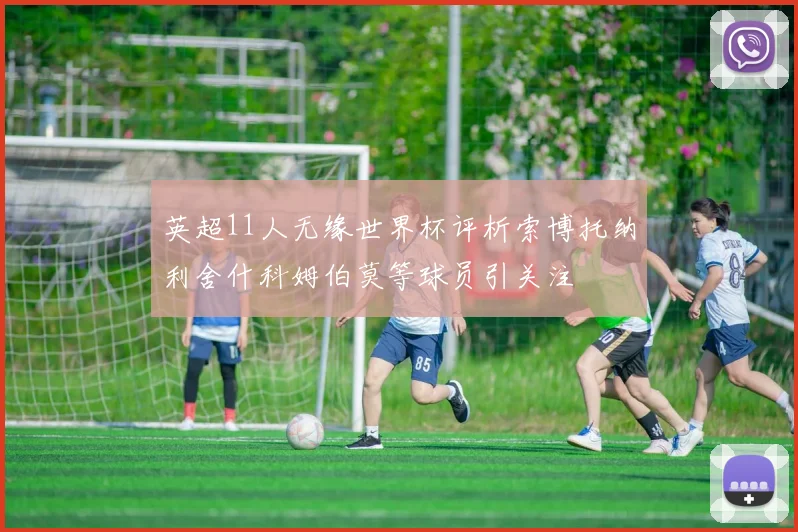 英超11人无缘世界杯评析索博托纳利舍什科姆伯莫等球员引关注
