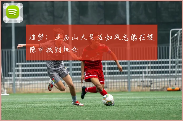 追梦：亚历山大灵活如风总能在缝隙中找到机会