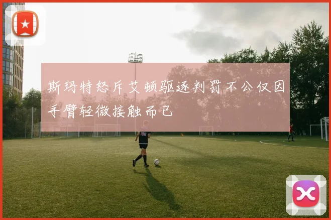 斯玛特怒斥艾顿驱逐判罚不公仅因手臂轻微接触而已